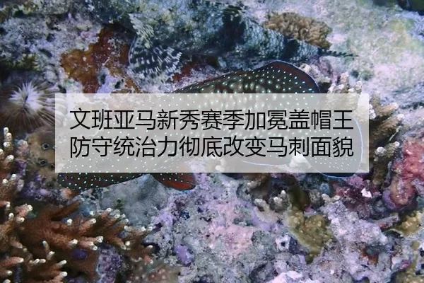 wen-ban-ya-ma-xin-xiu-sai-ji-jia-mian-gai-mao-wang-fang-shou-tong-zhi-li-che-di-gai-bian-ma-ci-mian-mao-3-842.jpg