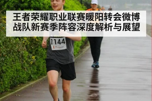 王者荣耀职业联赛暖阳转会微博战队新赛季阵容深度解析与展望