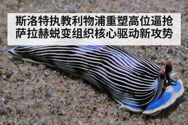 斯洛特执教利物浦重塑高位逼抢萨拉赫蜕变组织核心驱动新攻势