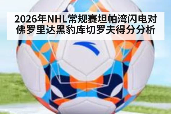 2026年NHL常规赛坦帕湾闪电对佛罗里达黑豹库切罗夫得分分析